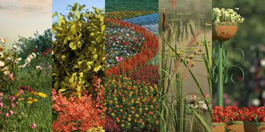 iFlowers 1-5 bundle