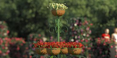iFlowers vol.5 Stands