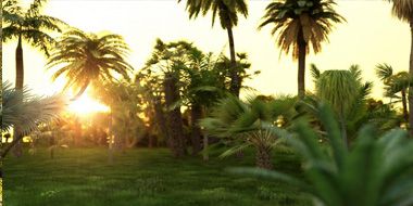 iTrees Palms vol.1